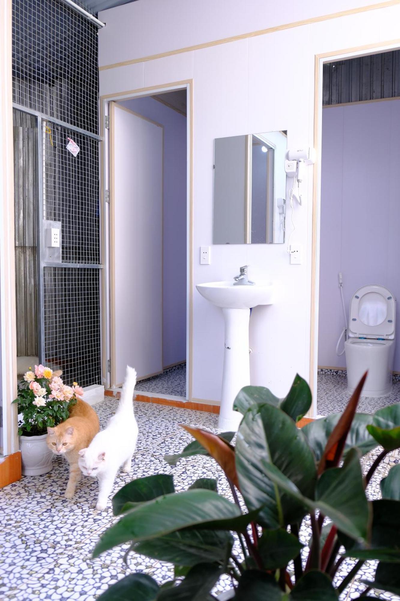 Lazy Cat Homestay - Motorbikes Rental & Tours Ha Giang Exterior foto
